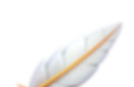 Feather
